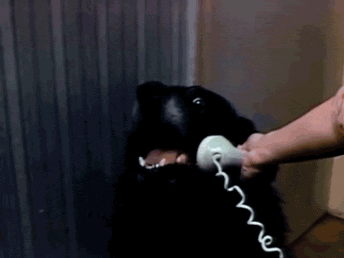 Please stop calling me !